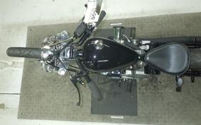 OTHER +UNREGISTERED MODEL by BDS1000 2026