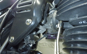 KAWASAKI 250TR 2021 BJ250F