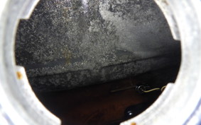 HONDA CBR1100XX 1999