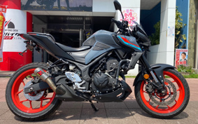 YAMAHA MT-25 ABS RG43J