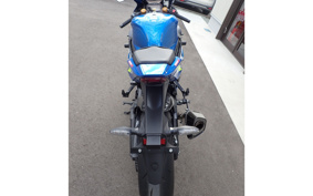SUZUKI STROM 250 DS11A
