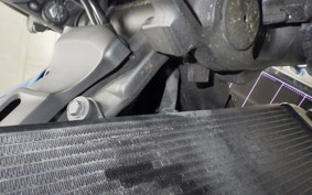 KAWASAKI Z900RS CAFE 2019 ZR900C