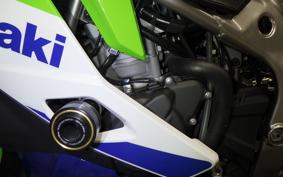 KAWASAKI ZX-4RR 2024 ZX400P
