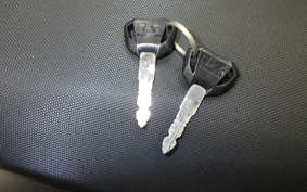 KAWASAKI Z125 PRO 2013 BR125H