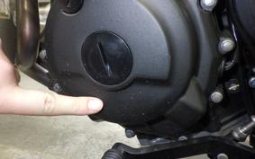 KAWASAKI ELIMINATOR400-3 2023 EL400A