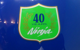 KAWASAKI ZX-4RR 40TH 2024 ZX400P