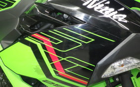 KAWASAKI NINJA 250 2006 EX250Y