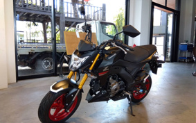 KAWASAKI Z125 PRO BR125H