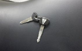 KAWASAKI NINJA 1000 2019 ZXT00W