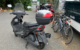 YAMAHA CYGNUS 125 X SED8J