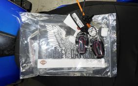 HARLEY FLHXSTSE1980CVO 2026