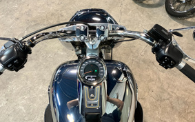 HARLEY FLSTFI 2025 BD9