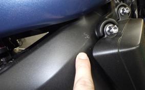 YAMAHA MT-09 ASP 2019 RN52J