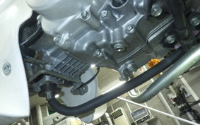 HONDA C110 SUPER CUB