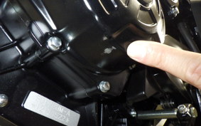 BENELLI レオンチーノ250 2024
