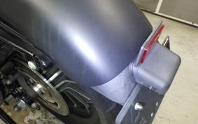 HARLEY XL883N 2015