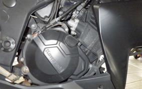 KAWASAKI Z250 ER250C