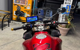 YAMAHA FZ1 FAZER 2008 RN17
