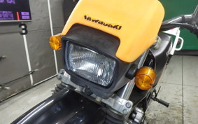 KAWASAKI SUPER SHERPA KL250G