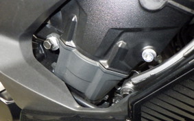 KAWASAKI NINJA 1000 SX 2023 ZXT02K