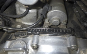 KAWASAKI Z250 FT 1994 KZ250A