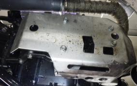 OTHER MUTT250