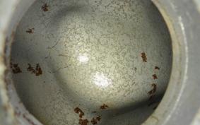 HONDA STEED 400 1992 NC26