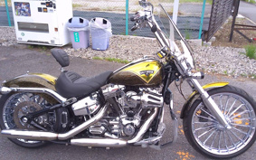 HARLEY FXSB BREAKOUT CVO 2013 TD9