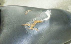 HONDA PCX125 2024 JF28