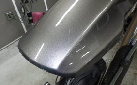 SUZUKI 250SB 2022 LX250L