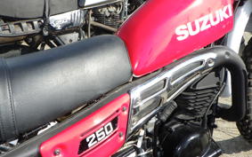 SUZUKI TS250 TS2504