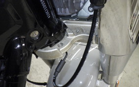 HARLEY FLFB1920 2025