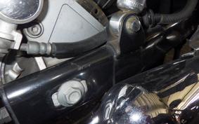 KAWASAKI ESTRELLA 1998 BJ250A