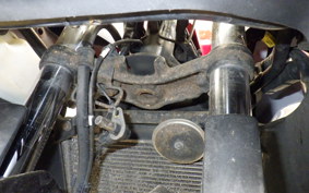 KAWASAKI NINJA 250 EX250L