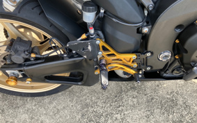 YAMAHA YZF-R1 2009 RN19