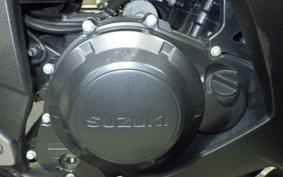 SUZUKI GSX250 R
