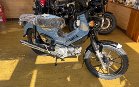 HONDA  CROSS  CUB 110 LITE JA79