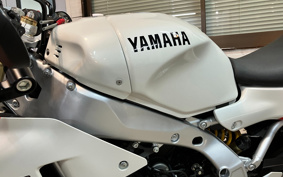 YAMAHA XSR900 GP 2024 RN96J