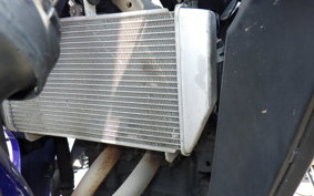 YAMAHA YZF-R25 1999 RG10J