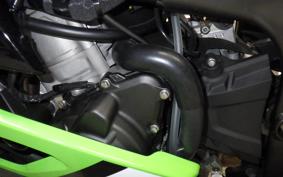 KAWASAKI ZX-4RR 2025 ZX400P