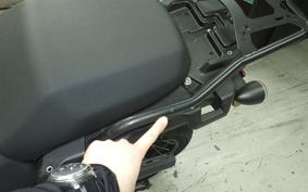 HARLEY ﾊﾟﾝ AMERICA1250S 2021