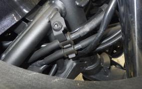 KAWASAKI NINJA 250 2021 EX250P