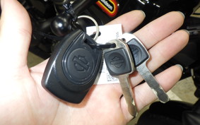 HARLEY RH975S 2024