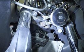 YAMAHA YZF-R25 A RG43J