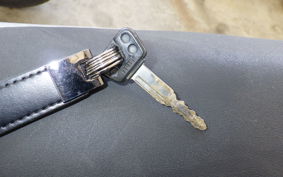 YAMAHA TRICKER DG10J