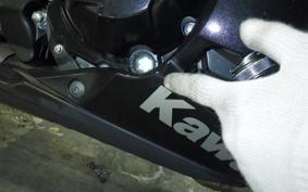 KAWASAKI NINJA 1000 2015
