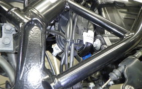 HUSQVARNA SVARTPILEN 401 2024