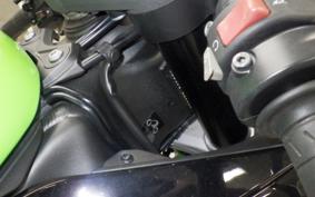 KAWASAKI NINJA ZX-6R A 2021 ZX636G