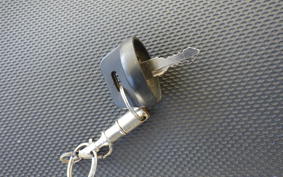 OTHER +UNREGISTERED MODEL by BDS50