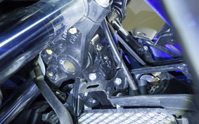 SUZUKI GSX250R 2025